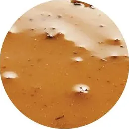 Turkey Gravy
